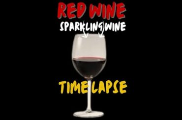 Which wine is better sparkling wine or red wine  to find out?#shorts