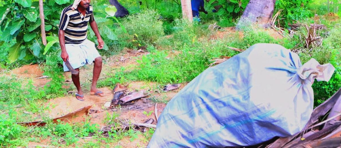 LACKY MAN COOKING French Fries POTATO FINGER RECIPE with Relaxing in the village By Village MAN LACKY MAN COOKING French Fries POTATO FINGER RECIPE with Relaxing in the village By Village MAN