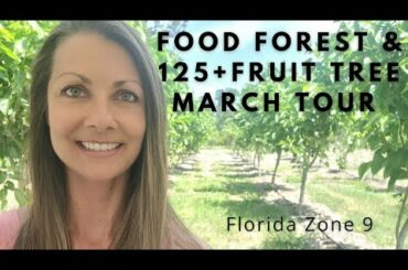 Florida Food Forest & Fruit Tree Tour Zone 9 March 2022