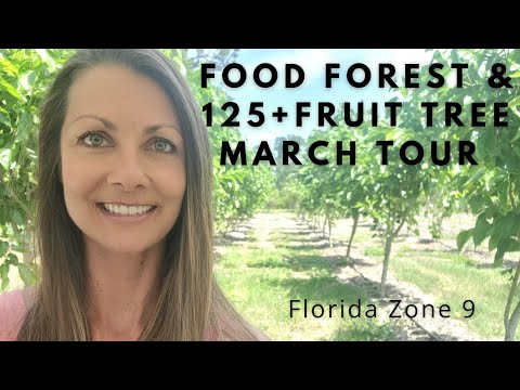 Florida Food Forest & Fruit Tree Tour Zone 9 March 2022 Florida Food Forest & Fruit Tree Tour Zone 9 March 2022