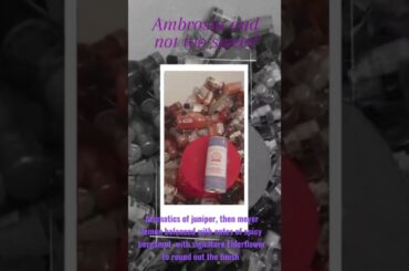 Pampelonne French 75. #sparkling #wine #cocktails #juniper #bergamot #Elderflower #alcohol #friends