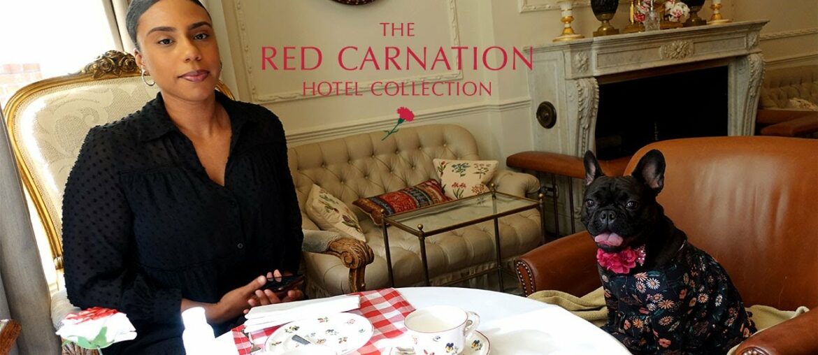 The Egerton House Hotel | Knightsbridge, London (Doggy Afternoon Tea) [French Bulldog's Birthday]