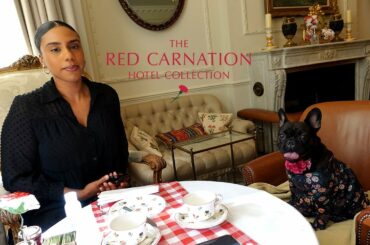 The Egerton House Hotel | Knightsbridge, London (Doggy Afternoon Tea) [French Bulldog's Birthday]