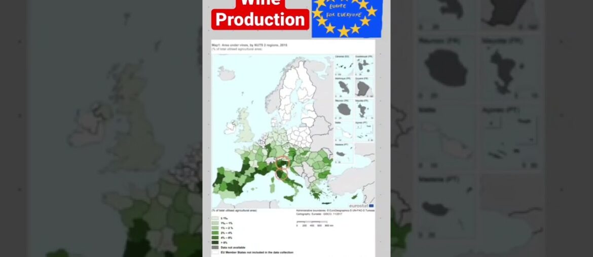 Wine production in Europe #wine #italianwines #frenchwine