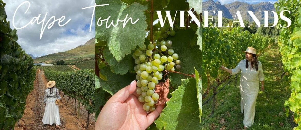 Tour of the South African Winelands (Stellenbosch and Franschhoek)