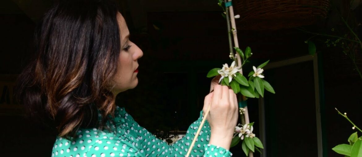 My Morning | DAY IN THE LIFE | Mom's Back in the Groove after a Big Trip! My Morning | DAY IN THE LIFE | Mom's Back in the Groove after a Big Trip!