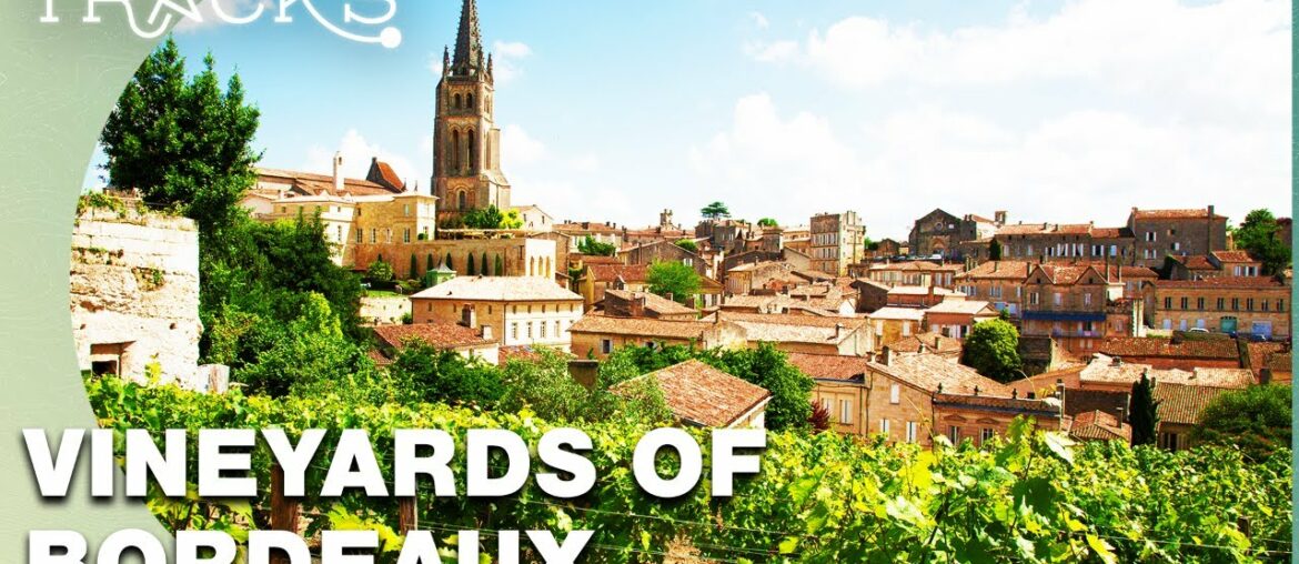 France's Bordeaux & Dordogne: Vineyards, Castles And Rivers  | TRACKS