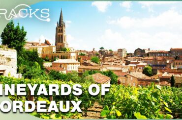 France's Bordeaux & Dordogne: Vineyards, Castles And Rivers  | TRACKS