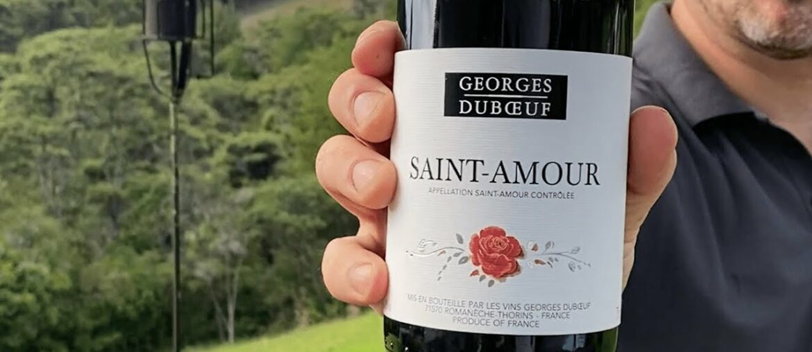 2017 Georges Duboeuf Saint Amour – Wine Review & Tasting Notes 2017 Georges Duboeuf Saint Amour - Wine Review & Tasting Notes