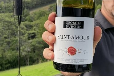 2017 Georges Duboeuf Saint Amour - Wine Review & Tasting Notes