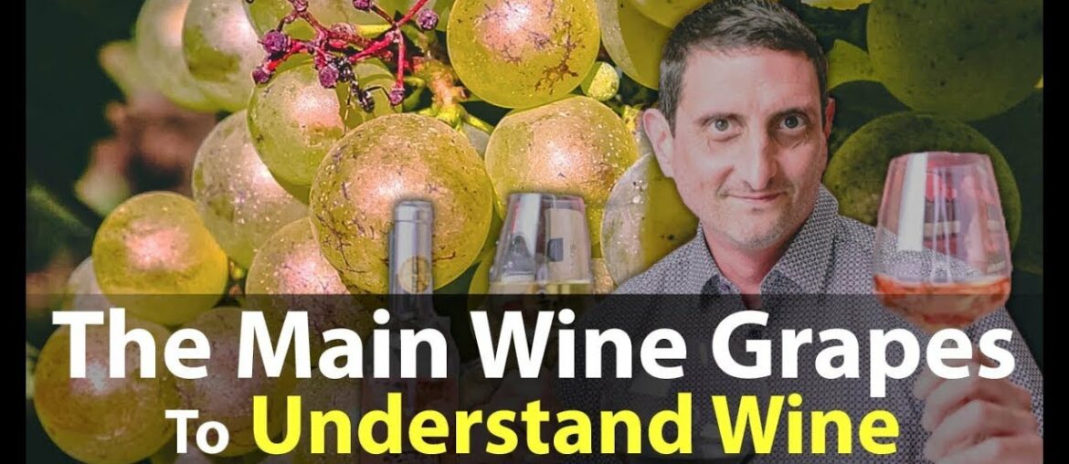 Essential Guide to Wine Grape Variety Names from around the World