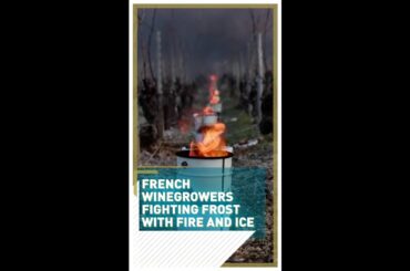 French winegrowers fighting frost with fire and ice