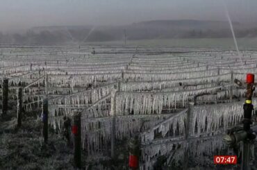 Weather Events - Frost strikes France again (France) - BBC - 8th April 2022