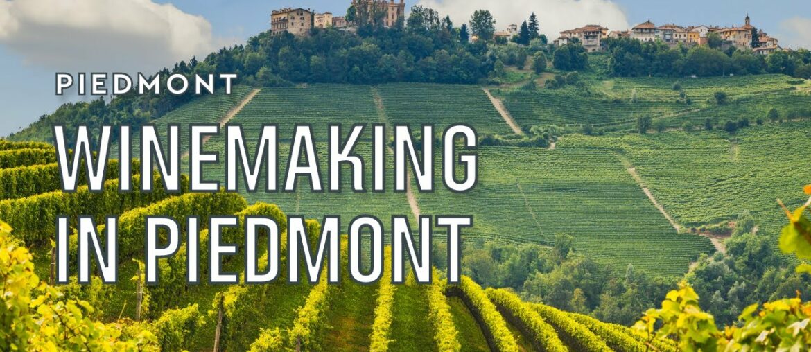 The wine making region of Piedmont in Northern Italy: history and techniques | Tannico