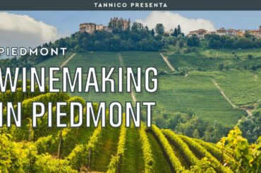 The wine making region of Piedmont in Northern Italy: history and techniques | Tannico