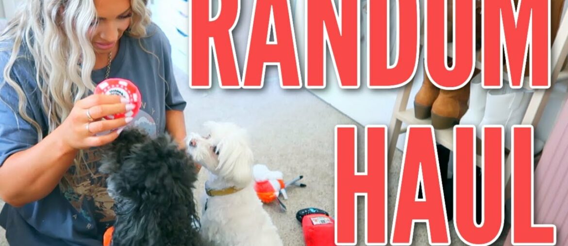 RANDOM HAUL | BARKBOX with my Dogs, Target/Walmart SWIM & Modere Cleaning Supplies