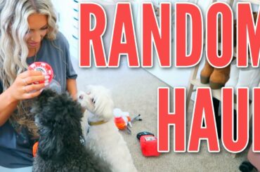 RANDOM HAUL | BARKBOX with my Dogs, Target/Walmart SWIM & Modere Cleaning Supplies