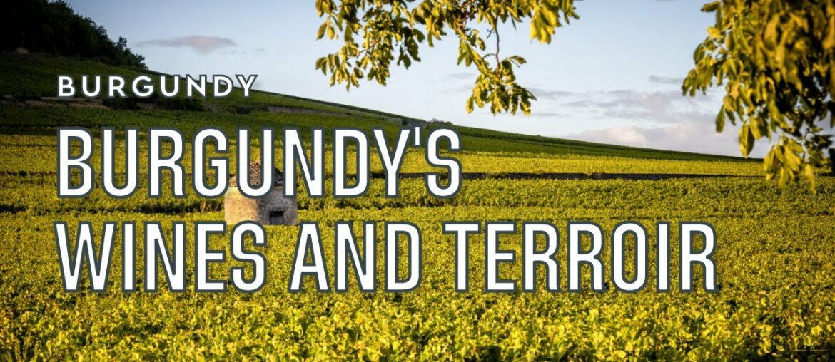 Burgundy's terroir and the secret of its great wines | Tannico Burgundy's terroir and the secret of its great wines | Tannico