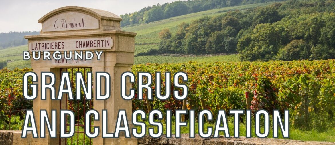 What is a Grand Cru and the wine classification in Burgundy | Tannico