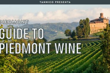 A guide to wines from the Piedmont region in Italy and its Terroir | Tannico