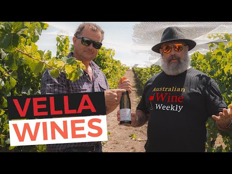 The Gambler vs The Naughty Boy #gamay #pinotblanc The Gambler vs The Naughty Boy #gamay #pinotblanc