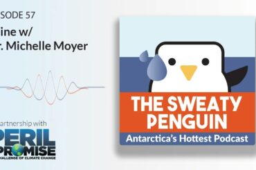 The Effect of Rising Temperatures, Late Frosts, and Wildfires on the Wine Industry