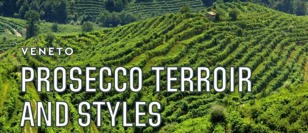 Prosecco: terroirs and styles of an Italian iconic wine | Tannico Prosecco: terroirs and styles of an Italian iconic wine | Tannico