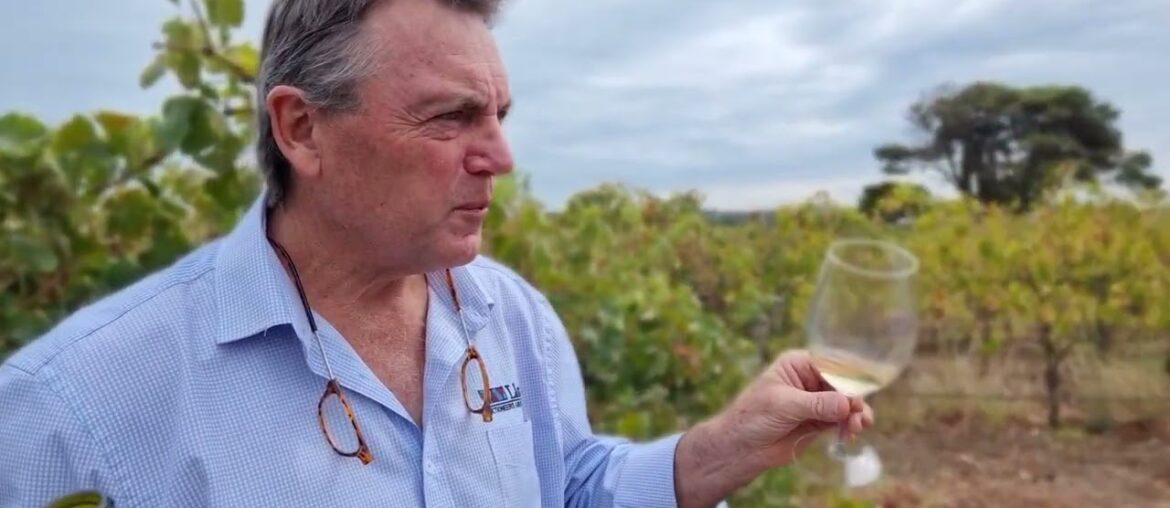 2019 J & J Rivers Lane Organic McLaren Vale Chardonnay 2019 J & J Rivers Lane Organic McLaren Vale Chardonnay