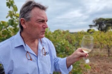 2019 J & J Rivers Lane Organic McLaren Vale Chardonnay