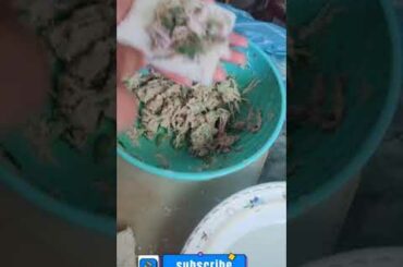 World Best easy Egg mayo sandwich recipes | chicken Sandwich recipe 2Ways French toast #shorts #food