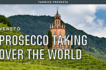 Prosecco bubbles taking over the world | Tannico