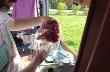 cooking ostrich meat and organic french wine - campervan vanlife near valence france