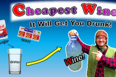 The Cheapest Homemade Wine! (How to Make Wine)