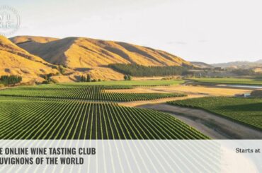 Sauvignons of the World, Unite! The Online Wine Tasting Club