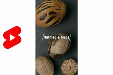 Nutmeg & Mace  #Shorts What Are They? How Are They Related?