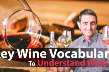 Wine Vocabulary: Your Essential Glossary of Wine Terms