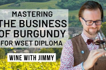 WSET Level 4 Diploma - The Wine Laws and Business of Burgundy