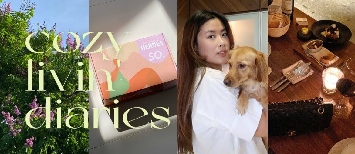 Cozy Livin' Diaries | French Dining, Hauls & Unboxing, Hair Routine Cozy Livin' Diaries | French Dining, Hauls & Unboxing, Hair Routine