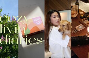Cozy Livin' Diaries | French Dining, Hauls & Unboxing, Hair Routine