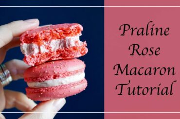 Praline Rose Macaron Tutorial | FRENCH CANDIED ALMOND INSPIRED MACARONS! | Recipes Included