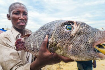 EXTREME African Seafood!!! WILD Tanzania Street Food in Dar es Salaam!!