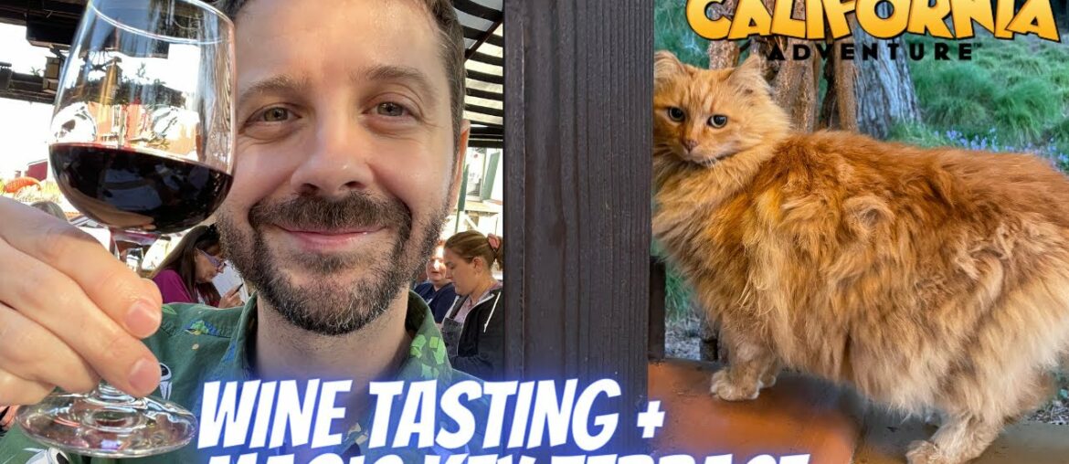 Disney Wine Tasting Seminar, Magic Key Terrace, Food & Wine Ends!