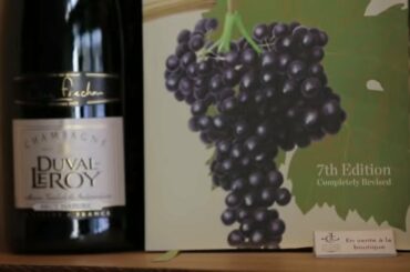 Sonal Holland | 'Tour de France' - Les Caves du Louvre - Your Guide to French Wine 101