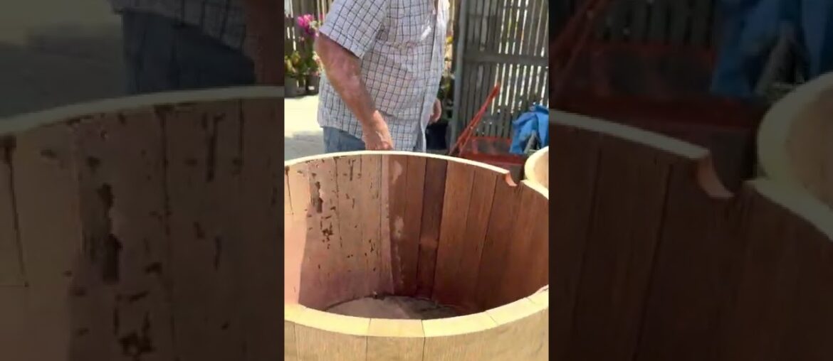 French Vs American Wine Barrel