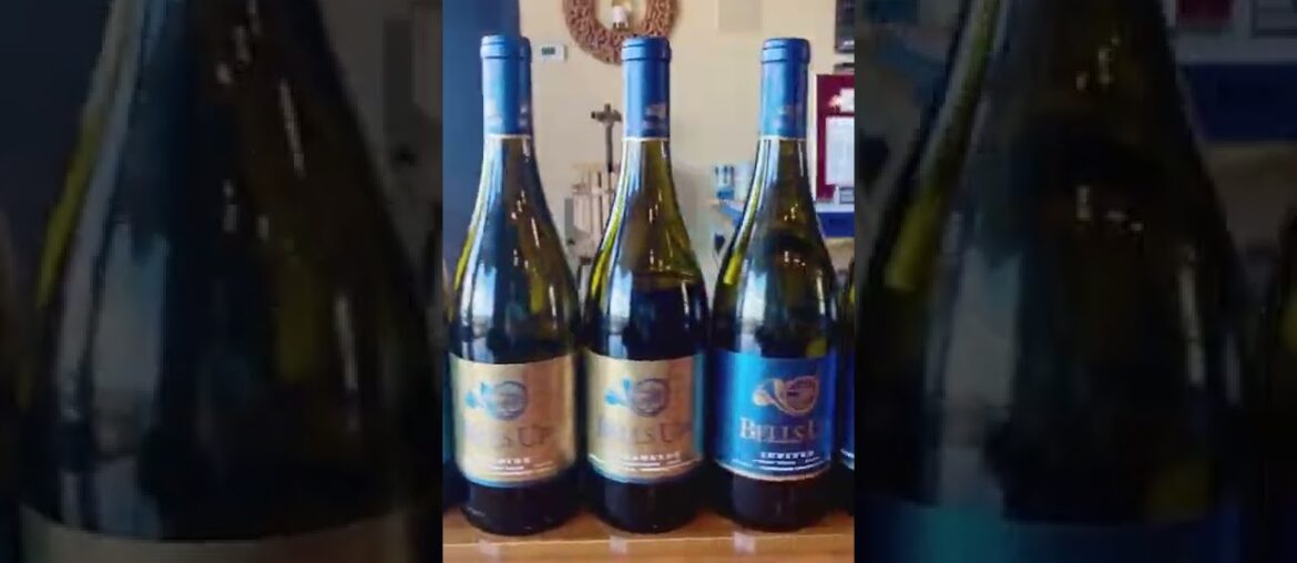 Marlynn Schotland of Urban Bliss Life Visits Bells Up Winery Marlynn Schotland of Urban Bliss Life Visits Bells Up Winery