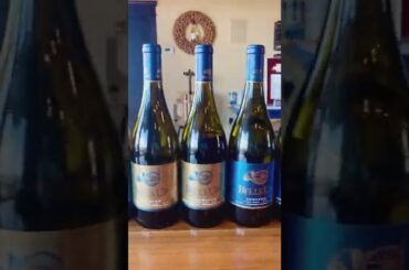 Marlynn Schotland of Urban Bliss Life Visits Bells Up Winery