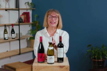 How To Introduce Yourself To Imported Wines | The Wine Collective