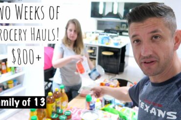 2-IN-1 GROCERY HAUL For A FORTNIGHT | Large Family of 13 Vlog