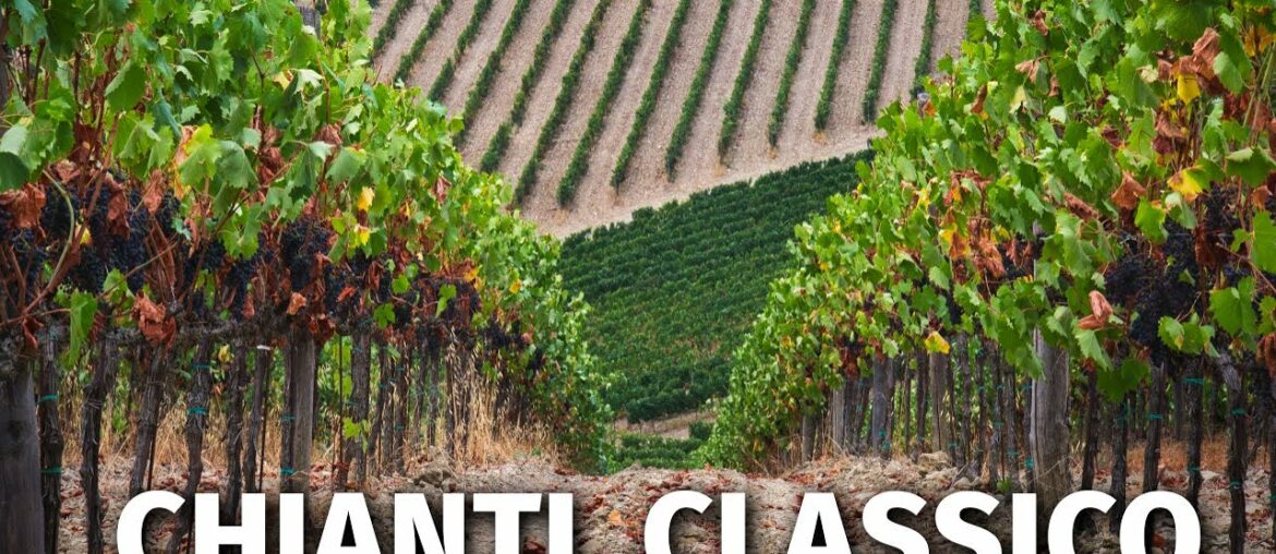 Great Italian Wines: CHIANTI CLASSICO