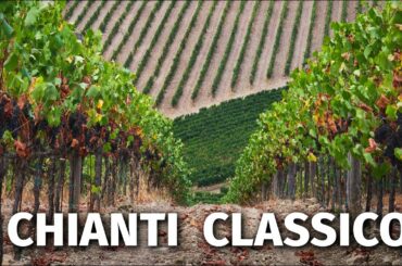 Great Italian Wines: CHIANTI CLASSICO